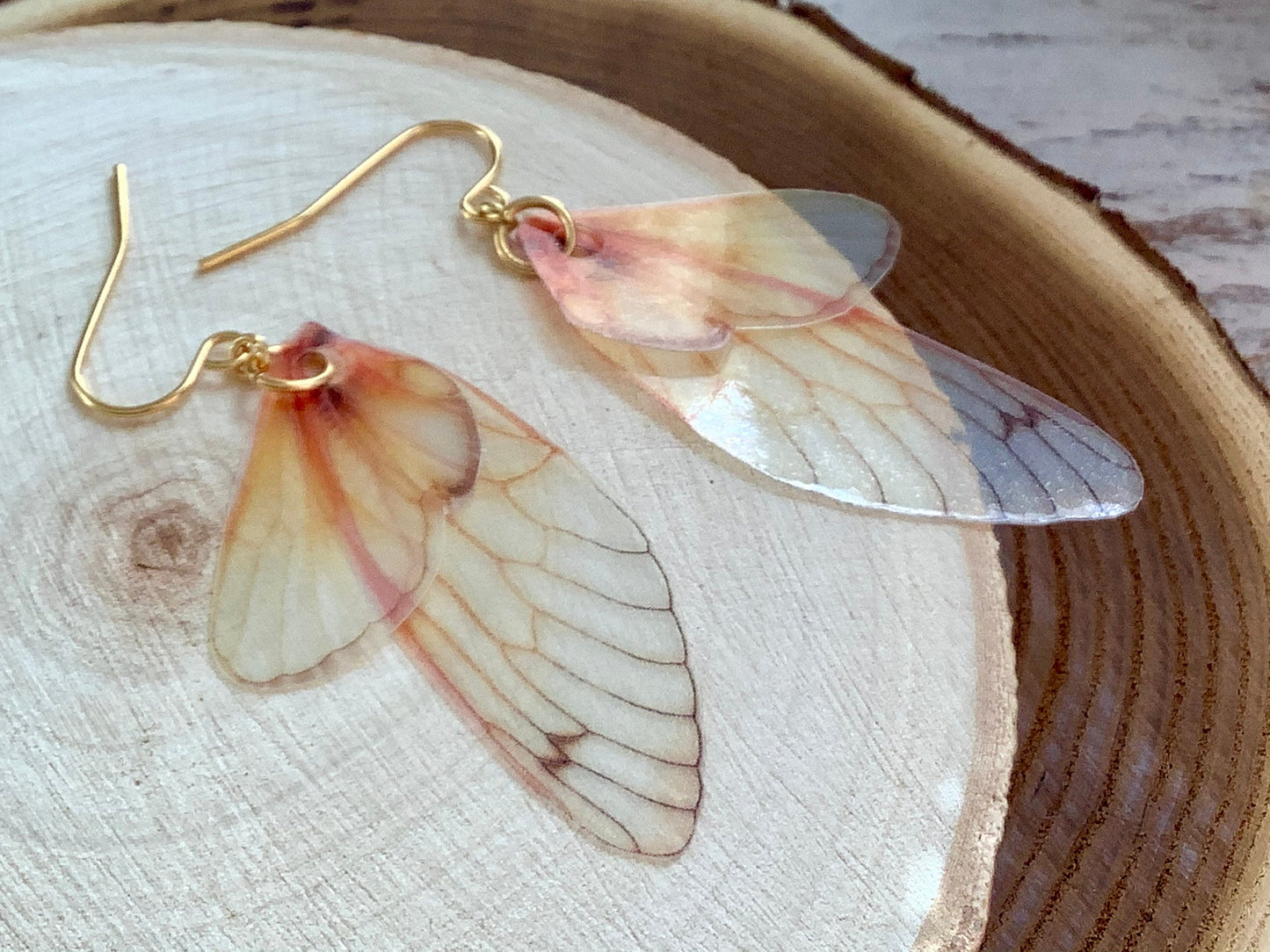 Grown up fairy wing earrings, for the serious fairy, Cicada wing earrings, gold plated steel hooks, semi transparent realistic wing earrings