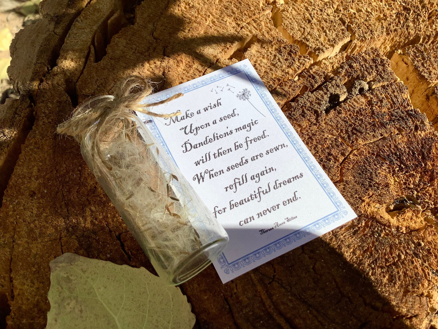 Dandelion wishing jar - Little Jar of Magic - Valentines Day - Jar of Wishes -  Contains real Dandelion seeds - Tiny things - Dreamer