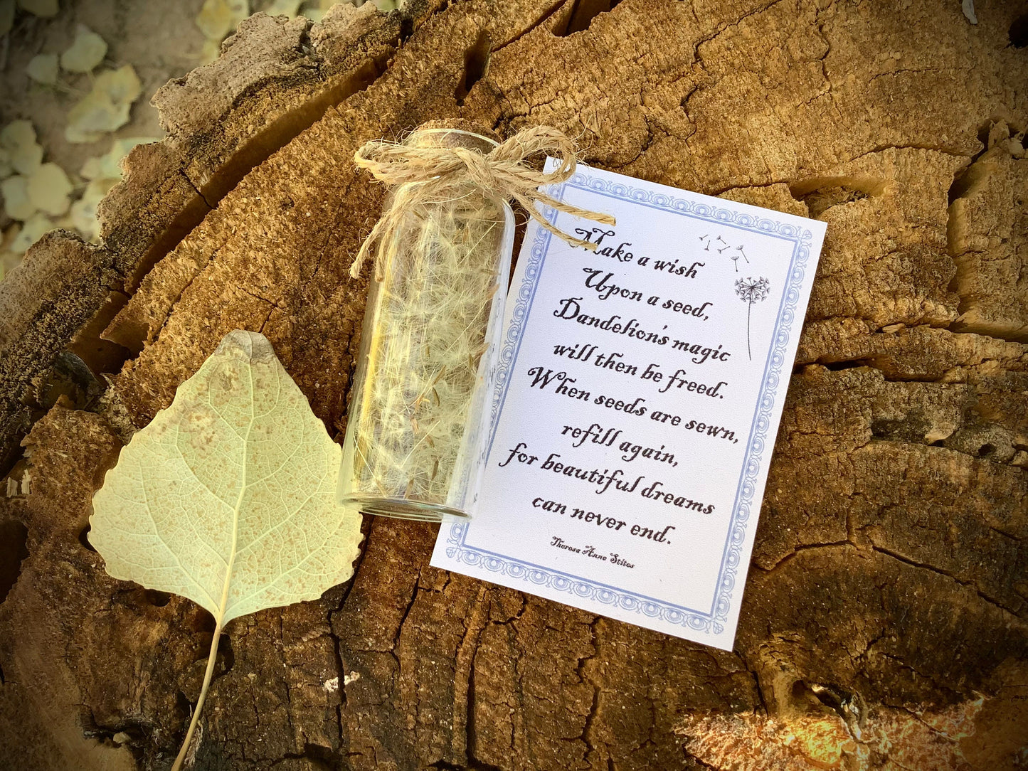 Dandelion wishing jar - Little Jar of Magic - gift of magic - Jar of Wishes -  Contains real Dandelion seeds - Tiny things - Dreamer